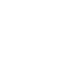Bass Culture - DJ Pone