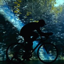 Contre-La-Montre - Chaton Laveur